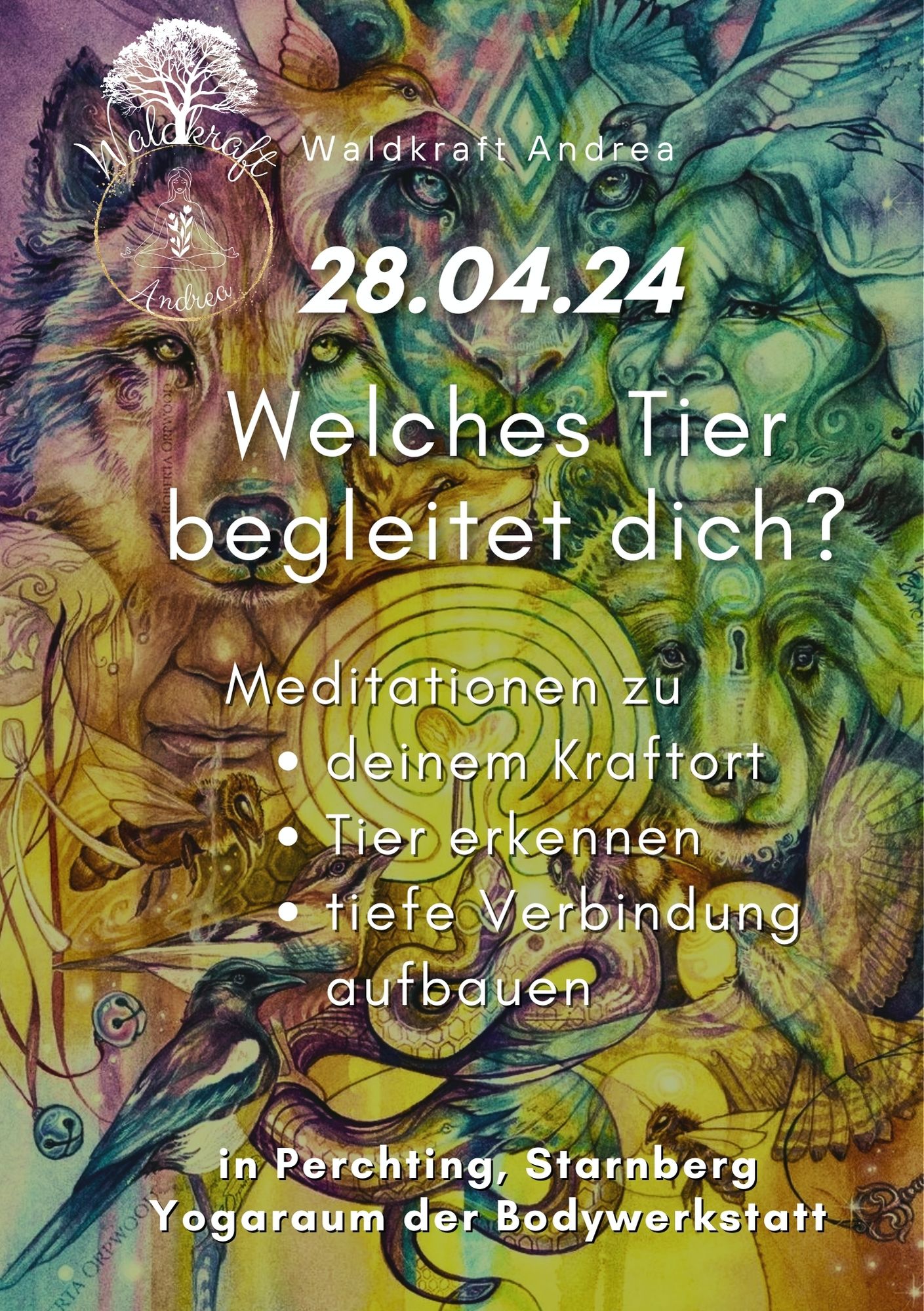 IMG 20240227 WA0015 002