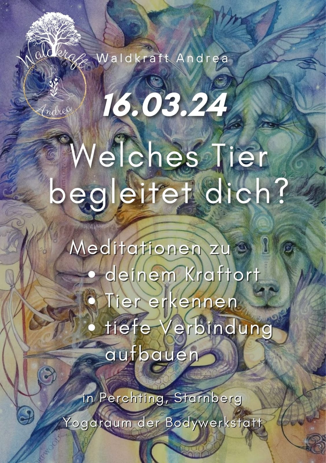 IMG 20240227 WA0015 002