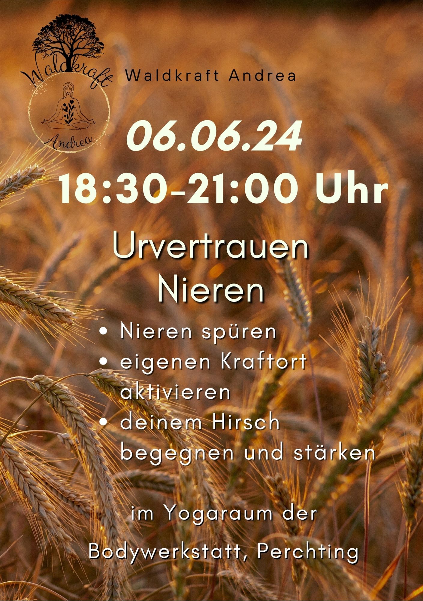 IMG 20240227 WA0015 002