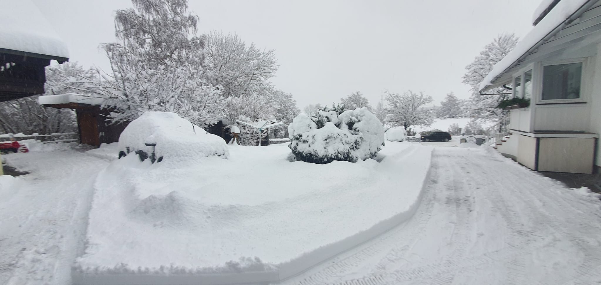 WhatsApp Bild 2023 12 02 um 10.00.33 fc54842b